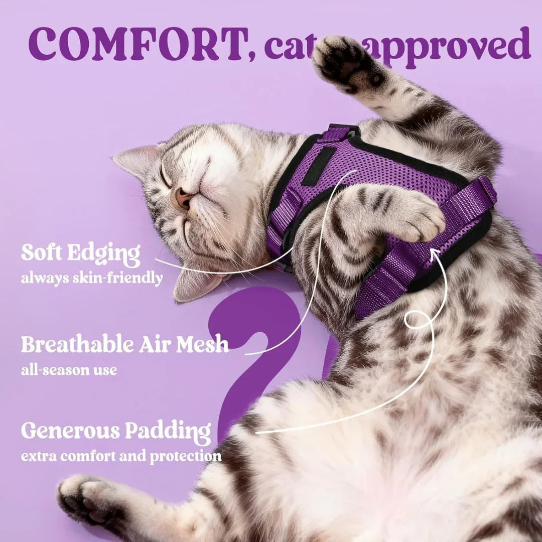 RoamReady™ Escape-Proof Cat Harness + Leash - Wander Paws