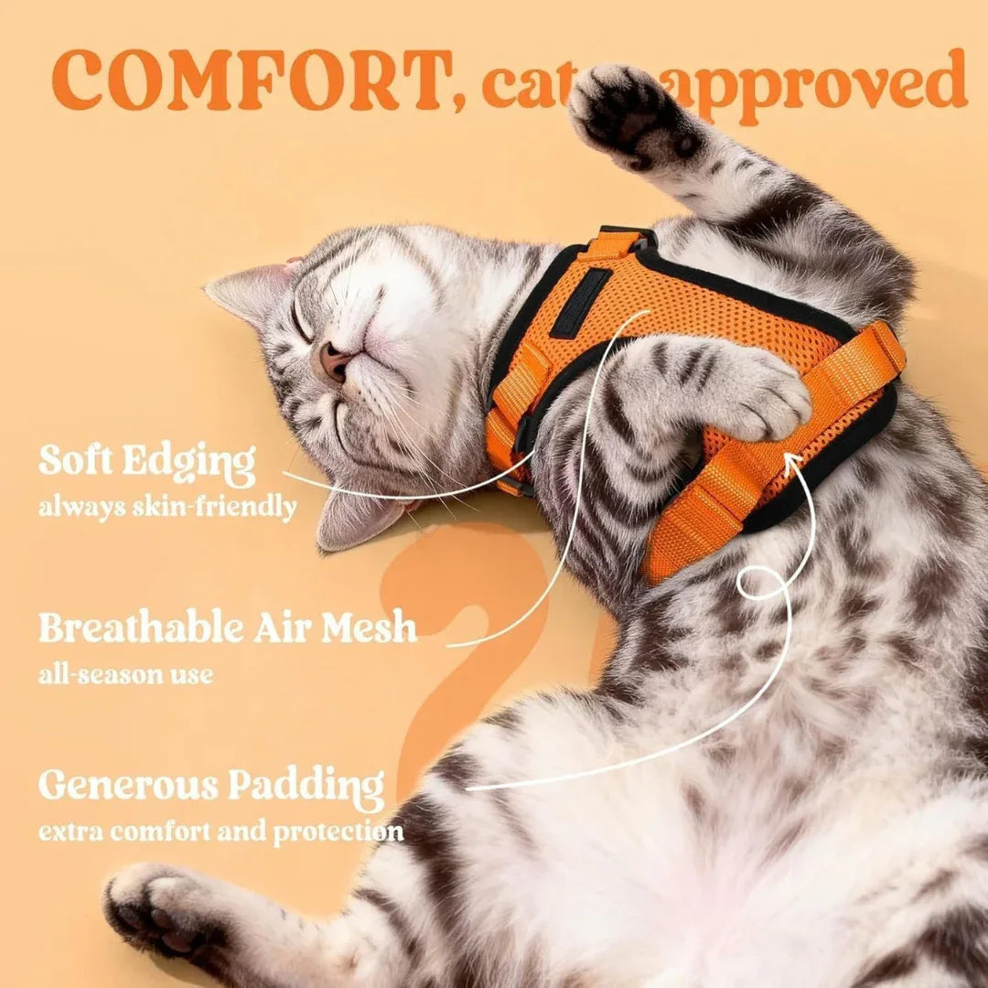 RoamReady™ Escape-Proof Cat Harness + Leash - Wander Paws