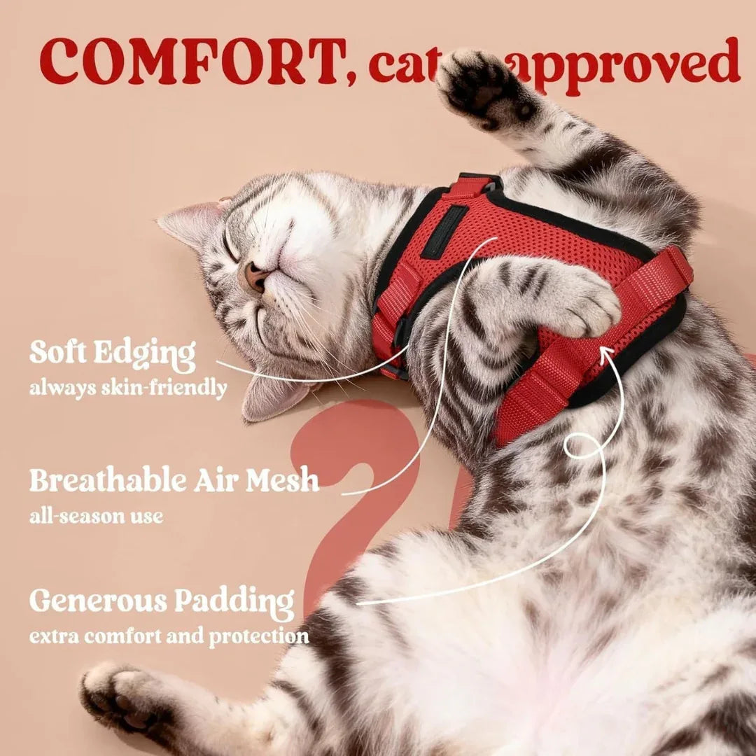 RoamReady™ Escape-Proof Cat Harness + Leash - Wander Paws