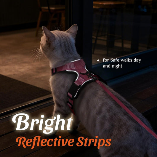 RoamReady™ Escape-Proof Cat Harness + TangleFree Leash