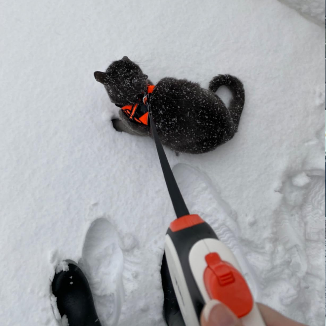 Easy On. Escape-Proof.