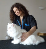 Lauren J. | Cat Behaviorist