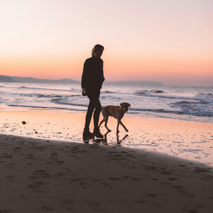 Let Pets Explore Off-leash Safely with Peace of Mind