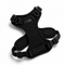 RoamReady™ Escape-Proof Cat Harness & Leash