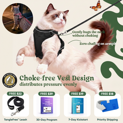 RoamReady™ Escape-Proof Cat Harness + TangleFree Leash