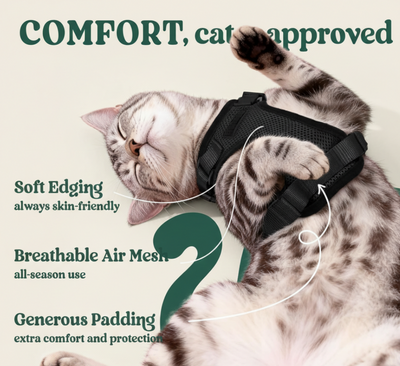 RoamReady™ Escape-Proof Cat Harness + TangleFree Leash