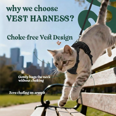 RoamReady™ Escape-Proof Cat Harness + TangleFree Leash
