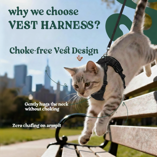 RoamReady™ Escape-Proof Cat Harness + TangleFree Leash