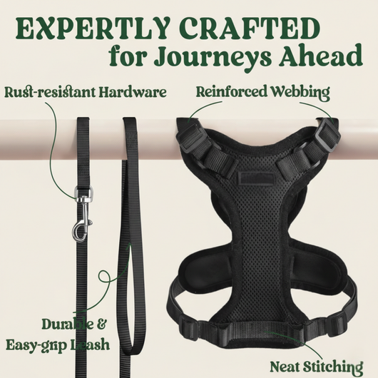 RoamReady™ Escape-Proof Cat Harness + TangleFree Leash