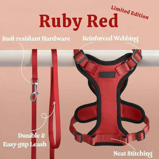 RoamReady™ Escape-Proof Cat Harness + Leash