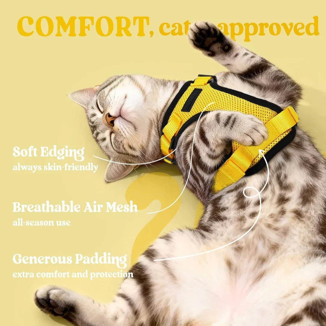 RoamReady™ Escape-Proof Cat Harness + Leash - Wander Paws