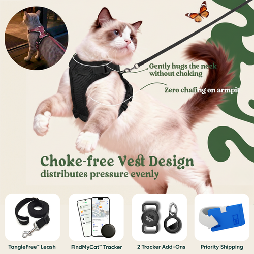 RoamReady™ Indoor Breakaway Collar