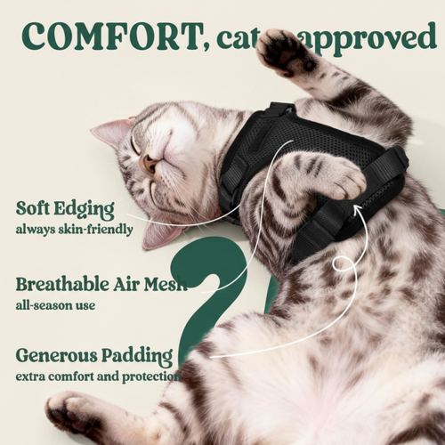 RoamReady™ Indoor Breakaway Collar