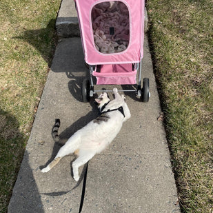 Built for Durability